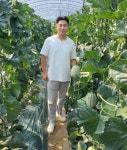 준랜드메롱멜론농장