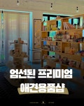 루이비독