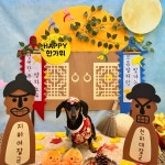 댕스럽개 애견유치원&애견호텔