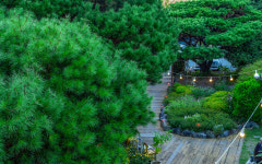 언덕위에하얀집펜션