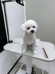 플러플리 FLUFFLY