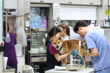 24시잠실베스트동물메디컬센터