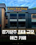루이비독