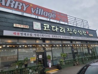 김미화 코다리