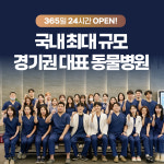 경기동물의료원