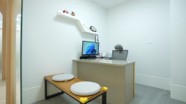 용문조아동물병원