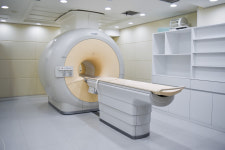 24시 월드펫동물메디컬센터