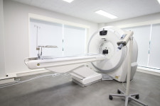 24시 월드펫동물메디컬센터