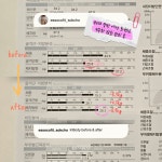 에소코핏 속초점