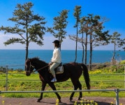중문승마공원