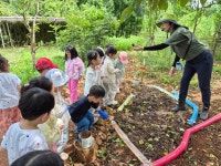 파란나무유치원