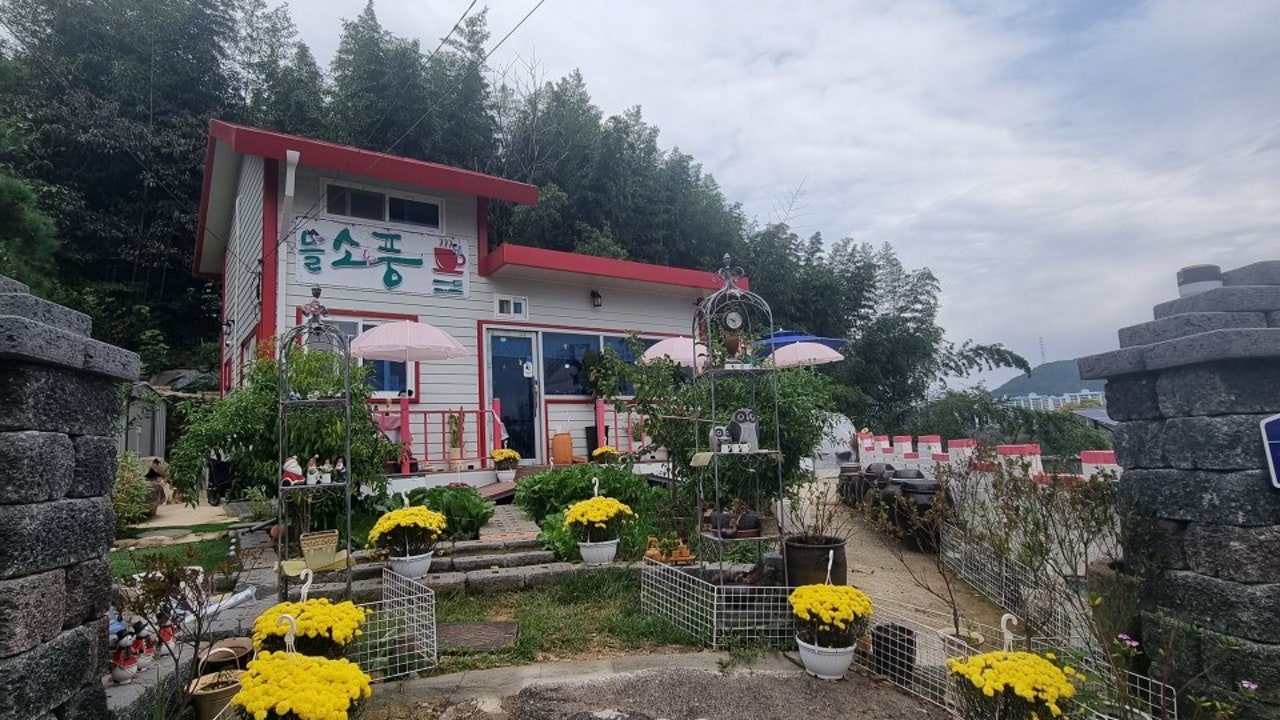 늘소풍