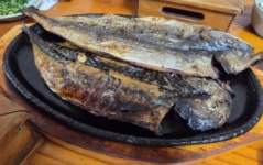 어랑숯불생선구이