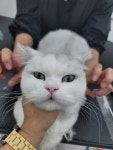 함께냥 전주점