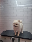 오늘THE이쁘개