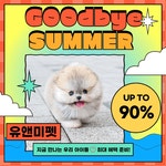 유앤미펫 강아지분양 고양이분양 용인점