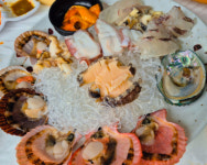 중앙수산회센터