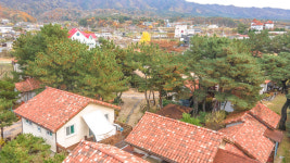 참맑은아침단체애견스파독채커플펜션