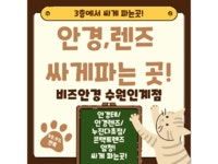 비즈안경 위드렌즈 수원인계점