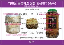 큐사랑 다대낫개점