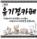 천안유기견카페 잇츠독