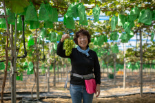 산골엄마농원