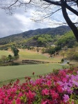 가산CC