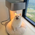 멍쓰홀릭 웰니스센터