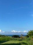 제주도게스트하우스파티 애월도
