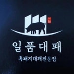 일품대패
