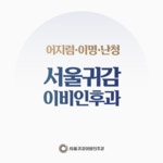 서울귀감이비인후과의원 강남