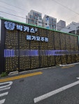 박카스