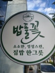 밥풀꽃