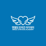 엔젤짐 반려견 아카데미