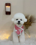 아콩하우스