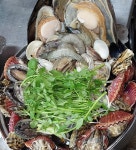 바다를 담은숲 해담