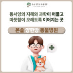 온솔양한방동물병원