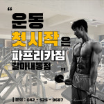 파프리카짐 갈마내동점