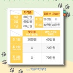 네발클로버애견미용학원