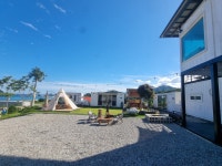 꿈꾸는헤밍웨이