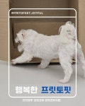 프릿토핏 긍정강화 애견유치원 안산점