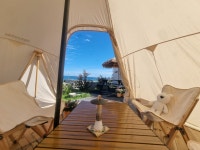 꿈꾸는헤밍웨이