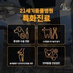 21세기동물병원