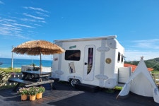 꿈꾸는헤밍웨이