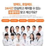 부산 24시 UN동물의료센터