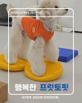 프릿토핏 긍정강화 애견유치원 안산점