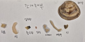 응암하연과학교습소