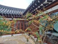 경주 황리단길 한옥펜션엘