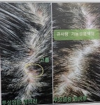 큐사랑 울산대현점