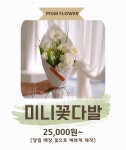 꽃;다방과일애꽃피움 | 피움플라워 꽃피움